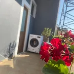 Ledi's Saranda